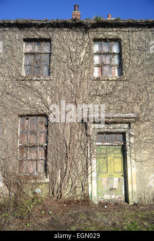 Vegetazione ed edera che cresce su sala vuota vicino a Leeds Yorkshire Regno Unito Foto Stock