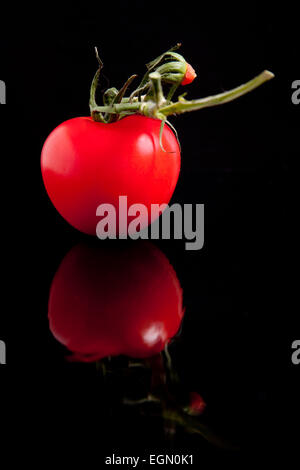 Un pomodoro rosso con un picciolo fotografati contro uno sfondo nero. Vetro nero dà una riflessione in primo piano Foto Stock