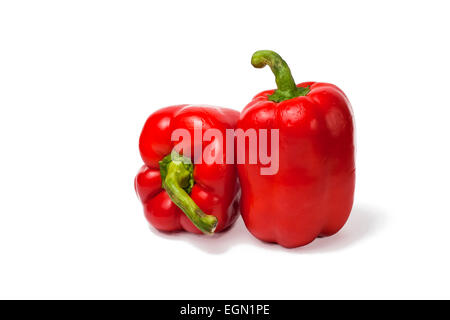 Due red campana o peperoni (Capsicum annuum) isolati contro uno sfondo bianco Foto Stock