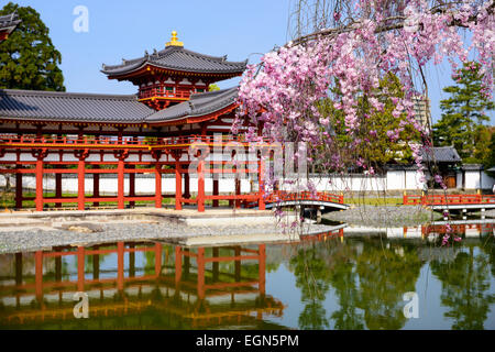 Kyoto, Giappone a Byodo-in tempio. Foto Stock