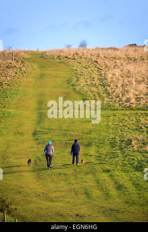 Due persone cani a piedi su per la collina in campagna Foto Stock