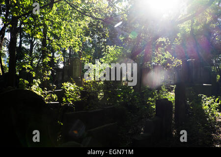 Cimitero ebraico a Varsavia, Polonia Foto Stock