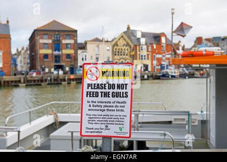 Segno sulla banchina del porto di Weymouth - non alimentare i gabbiani - Dorset, England Regno Unito Foto Stock