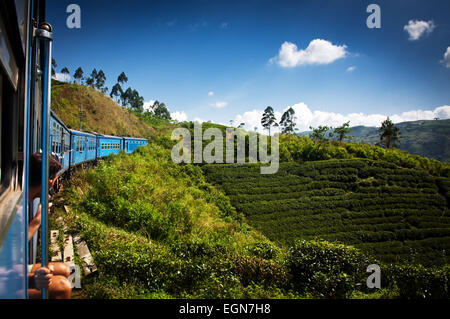 Treno da Nuwara Eliya a Kandy tra le piantagioni di tè negli altopiani dello Sri Lanka Foto Stock
