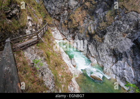 In Lammerklamm gorge, Lammeröfen, Fiume Lammer, Tennen montagne, Scheffau, Lammer Valley, Tennengau, Salisburgo, Austria Foto Stock