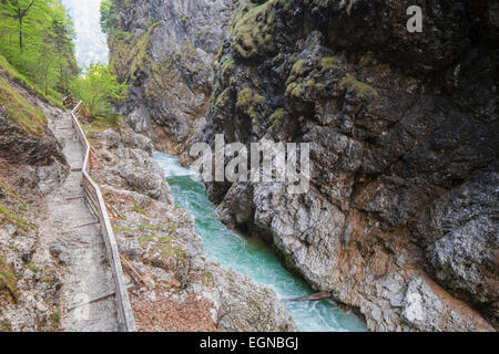 In Lammerklamm gorge, Lammeröfen, Fiume Lammer, Tennen montagne, Scheffau, Lammer Valley, Tennengau, Salisburgo, Austria Foto Stock