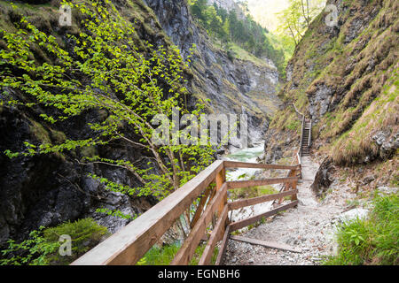 In Lammerklamm gorge, Lammeröfen, Fiume Lammer, Tennen montagne, Scheffau, Lammer Valley, Tennengau, Salisburgo, Austria Foto Stock