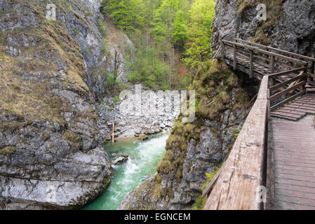 In Lammerklamm gorge, Lammeröfen, Fiume Lammer, Tennen montagne, Scheffau, Lammer Valley, Tennengau, Salisburgo, Austria Foto Stock