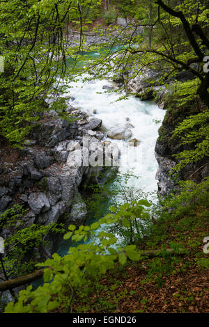 In Lammerklamm gorge, Lammeröfen, Fiume Lammer, Tennen montagne, Scheffau, Lammer Valley, Tennengau, Salisburgo, Austria Foto Stock