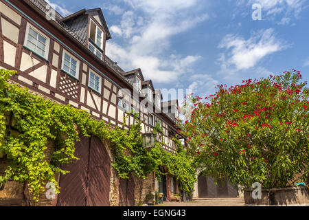 Arco in corrispondenza di un vigneto in Eltville, Reno, Germania Foto Stock