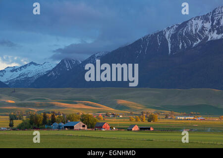 Il settore agricolo e di allevamento zona vicino a Giuseppe, di Oregon si trova sotto le montagne Wallowa. molla. Stati Uniti d'America Foto Stock