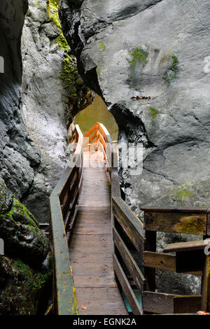 Il Boardwalk in Seisenbergklamm, Weissbach, Saalach, Lofer, Zell am See District, Salisburgo, Austria Foto Stock