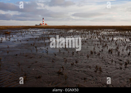 Faro di Westerheversand, sale palude e velme presso il parco nazionale del mare di Wadden, Westerhever, Schleswig-Holstein, Germania Foto Stock