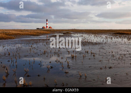 Faro di Westerheversand, sale palude e velme presso il parco nazionale del mare di Wadden, Westerhever, Schleswig-Holstein, Germania Foto Stock