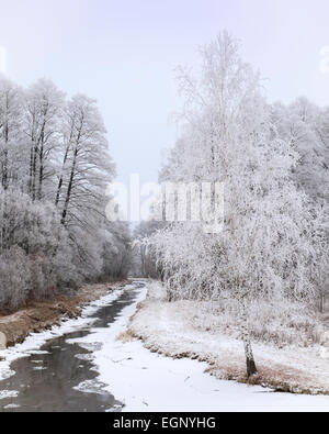 Piccolo fiume ghiacciato e alberi ghiacciati in inverno Foto Stock