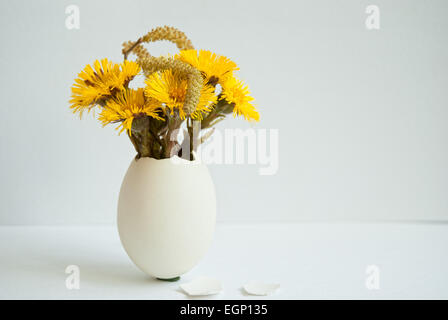 Pasqua mini floreale composizione con foalfoot. Fiori gialli di coltsfoot nel guscio dell'uovo Foto Stock
