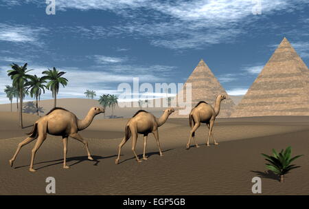 Tre cammelli a piedi verso le Piramidi nel deserto di giorno - 3D render Foto Stock