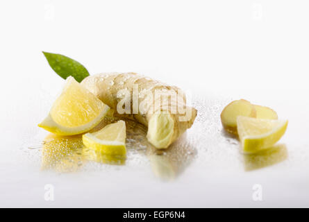 Lo zenzero Zingiber officinale root con limone, Citrus limon, pezzi disposti su sfondo argento e spritzed con acqua. Messa a fuoco selettiva. Foto Stock