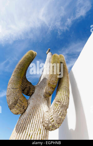 Cactus Saguaro, Carnegiea gigantea, drammatica vista dal di sotto di un unico stelo con bracci verso l'alto di derivazione verso un cielo blu con nuvole wispy, la sua ombra su un muro bianco. Foto Stock