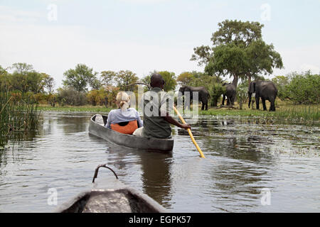 Viaggio Mokoro per visualizzare big game sulle rive dell'Okavango in Botswana Foto Stock