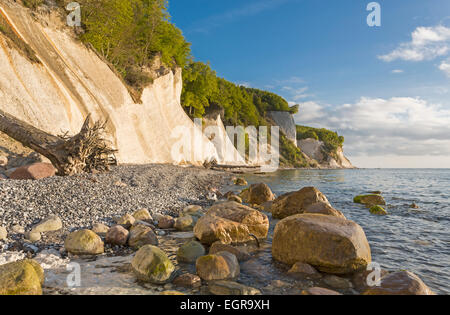 Ripida costa con chalk cliffs nel Jasmund National Park, sito Patrimonio Mondiale dell'UNESCO, Rügen, Meclemburgo-Pomerania Occidentale Foto Stock