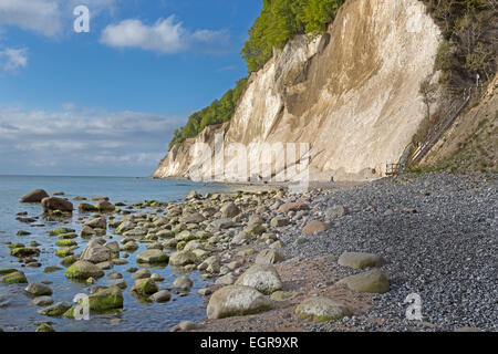 Ripida costa con chalk cliffs nel Jasmund National Park, sito Patrimonio Mondiale dell'UNESCO, Rügen, Meclemburgo-Pomerania Occidentale Foto Stock