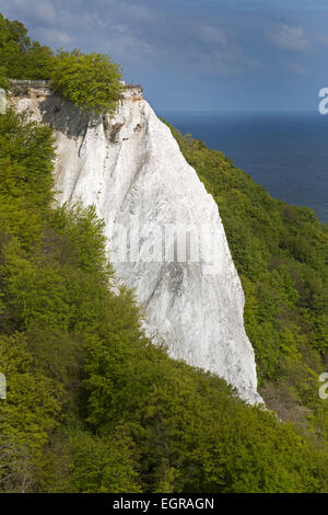 Königsstuhl, re della sedia, chalk cliffs in autunno, Jasmund National Park, Rügen, Meclemburgo-Pomerania Occidentale, Germania, Europa Foto Stock