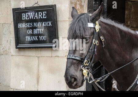Cartello segnaletico per i turisti che i cavalli possono calci o mordere nella Horse Guards Parade di Londra, Regno Unito. Avviso di sicurezza Foto Stock