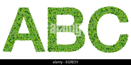 A B C alfabeto lettere fatte da foglie verdi isolati su sfondo bianco. Foto Stock