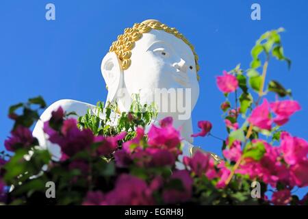 Udienza statua del Buddha in Thailandia del Nord Foto Stock