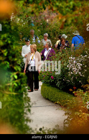 Il Giardino delle Rose, il giardino a Alnwick Foto Stock