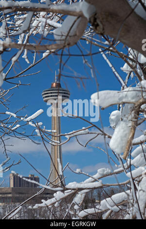 Niagara Falls, New York - un albero rivestito in ghiaccio da spruzzo da Niagara Falls frame che la Torre Skylon. Foto Stock