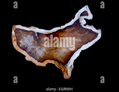 Agata brasiliana sezione in forma di STATI UNITI D'AMERICA Foto Stock