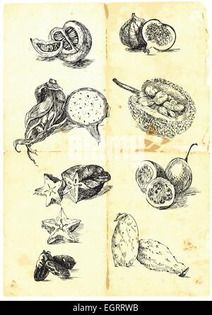 Disegnata a mano una grande raccolta di frutta di stagione e legumi provenienti da tutto il mondo. Dettagliato e preciso lavoro. (Per simili ho Illustrazione Vettoriale