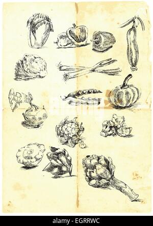 Disegnata a mano una grande raccolta di frutta di stagione e legumi provenienti da tutto il mondo. Dettagliato e preciso lavoro. (Per simili ho Illustrazione Vettoriale