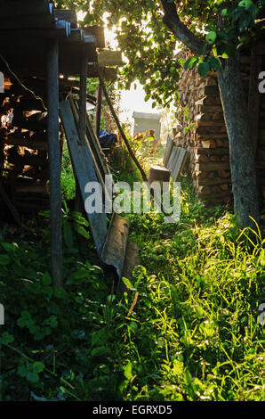 Casa rurale yard - giardino, melo, legna da ardere e beehive. Foto Stock