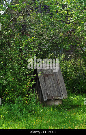 Casa rurale yard - giardino, melo e il vecchio pozzo. Foto Stock