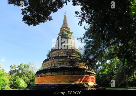 Antica Pagoda. Wat UMong Chiangmai, Thailandia. Foto Stock