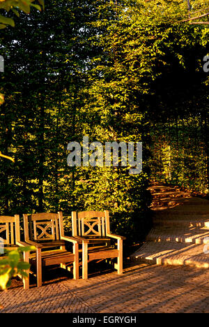 Tunnel di faggio, il giardino a Alnwick Foto Stock