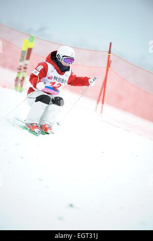 Tazawako, Akita, Giappone. 28 Feb, 2015. Junko Hoshino (JPN) Sci freestyle : Freestyle FIS Coppa del Mondo di sci femminile in gobbe Tazawako, Akita, Giappone . © Hiroyuki Sato/AFLO/Alamy Live News Foto Stock