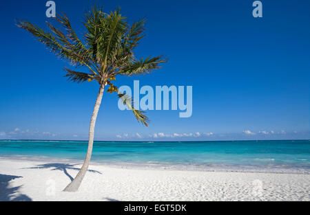 Spiaggia caraibica, vicino a Playa del Carmen, Quintana Roo, Messico Foto Stock