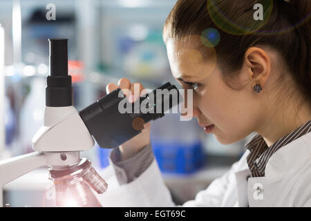 Scienziato giovane donna utilizzando un microscopio in un laboratorio di scienze Foto Stock