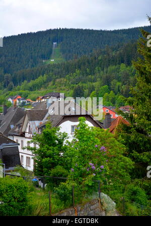 Foresta Nera, Baden-Württemberg, Foresta Nera, Tittisee - "Nuova città", alta prima di salto con gli sci, Schwarzwald, Baden-Württemberg, Hoch Foto Stock