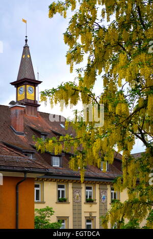 Foresta Nera, Baden-Württemberg, Foresta Nera, Tittisee-Neustadt, Municipio di Schwarzwald, Baden-Württemberg, Hochschwarzwald, Foto Stock