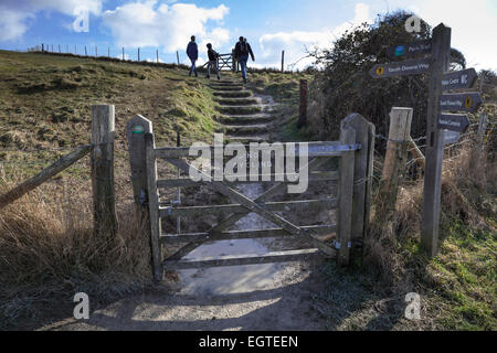 Gli scuotipaglia in sette sorelle Country Park fanno la loro strada fino passaggi tagliati in collina lungo il South Downs Way . Foto Stock