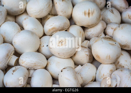 Champignon freschi nel mercato Foto Stock