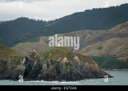 Faro di West Head, Tory Channel (Kura te Au), Marlborough Sound, Marlborough, South Island, Nuova Zelanda. Foto Stock