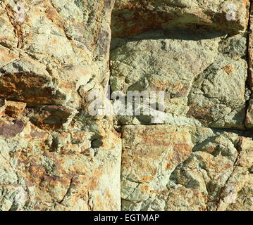 Los Azulejos, rocce verdi nel Parco Nazionale del Teide Tenerife Foto Stock