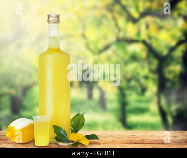 Italiano di bevande alcoliche, Limoncello sul tavolo di legno su alberi di limone. Foto Stock