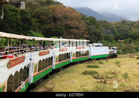 Scenic Railway treno che porta i turisti per un giro attraverso le vecchie piantagioni di zucchero in Saint Kitts, dei Caraibi Foto Stock